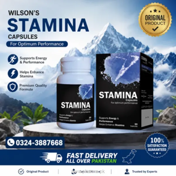 Wilson’s Stamina – 30 Capsules In Pakistan
